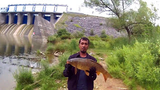 Carp Fishing   @ Fanshawe Conservation London, Canada