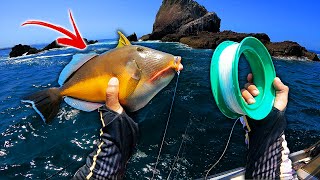 Pescando LA COMIDA con Linea de Mano