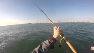 Kayak Stripers and Blues on Herring 1-2-16