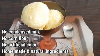 Easy Homemade Jackfruit Icecream |  ಮನೆಯಲ್ಲೇ ತಯಾರಿಸಿದ ಹಲಸಿನ ಹಣ್ಣಿನ ಐಸ್ ಕ್ರೀಮ್