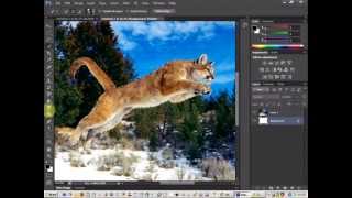 Photoshop cs6 tutorial - silhouette