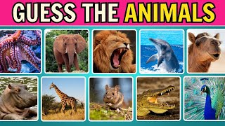 Guess the Animals Based on the Images and 40 Riddles - Easy to Very Difficult