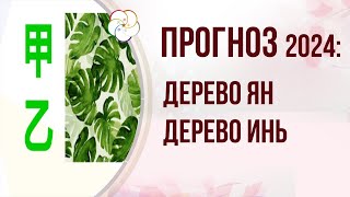 АСТРОПРОГНОЗ 2024: Прогноз для людей Элемента Личности Дерево Ян и Инь на 2024