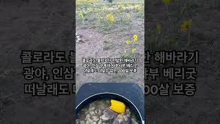 해발 4366 m 블랑카 산 아래에서 샤부샤부 인삼 상황버섯 소고기 수제비 끓었다.