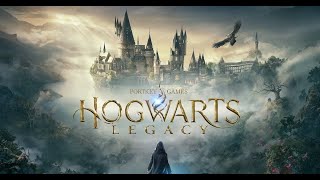 Shall we do some magic? Hogwarts Legacy