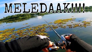 MANCING IKAN TOMAN DI KALIMANTAN || WADUK MANGGAR BALIKPAPAN