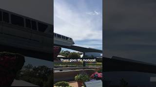 There goes the monorail