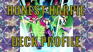 Honest Harpie Deck Profile -  TOTD 110