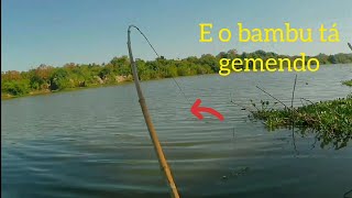 PEGANDO MANDI COM VARA DE BAMBU, RIO EMPUEIRA EM -JANUÁRIA MG-