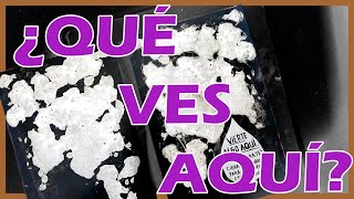 Vierte algo aquí - Destrozando este diario - ASMR 🚿🖤