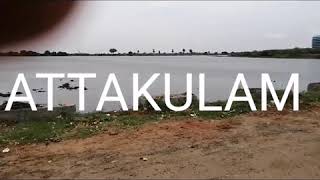 Kadayanallur vlog