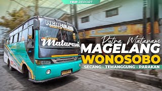 PESONA JALUR PEGUNUNGAN EKSOTIS 😍 | Trip Report Bus Putra Mataram (Magelang - Wonosobo)