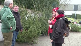 Weihnachtsbäume und Schmaus - Birsstadt-TV Duggingen