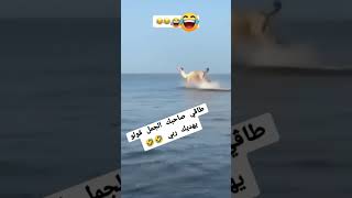 يا الشريف يهديك ربي