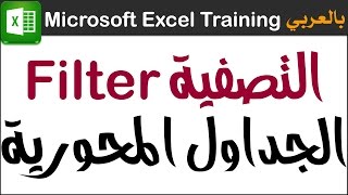 08 تصفية البيانات في الجداول المحورية Filter  | الجداول المحورية اكسل Pivot Tables Excel