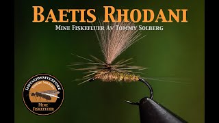 Baetis Rhodani Dun. Mine fiskefluer og imitasjonsfluefiske. Hvordan lage et bra hackle på parachute.