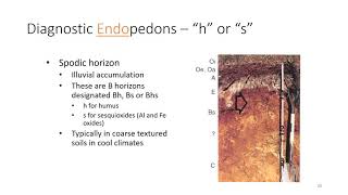 Soil Classification and Taxonomy Part 2