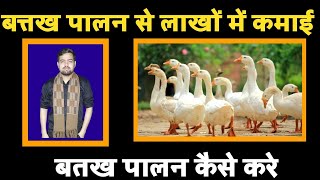 बत्तख पालन से लाखों में कमाई || बतख पालन कैसे करे || Duck farming in india