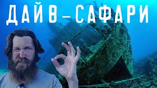 АКУЛЫ, ЗАТОНУВШИЙ КОРАБЛЬ - Что такое ДАЙВ САФАРИ. Дайвинг в Египте