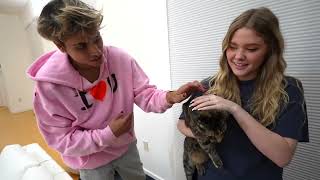 Lucas and Marcus! SURPRISING MY TWIN BROTHER WITH A NEW PET!  emotional