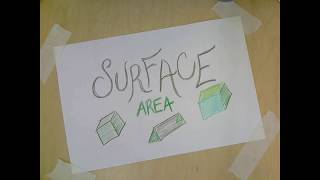 Surface Area Foldable Notes