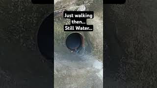 Still water... #memes #funny #stillwater #idontknowwhattoputhere