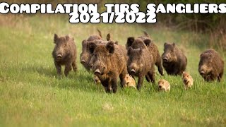 ☆68 tirs - compilation tirs sangliers best of 2021/2022☆