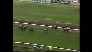 July 11th 1981 - Flemington races