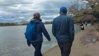 Walking the National Mall