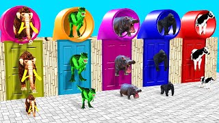 Choose The Right Mystery Door With Gorilla Cow Mammoth Elephant Dinosaur rhino Wild Animal Games