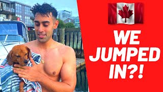 JUMPING INTO THE HALIFAX HARBOUR WITH MY DOG?!  | Halifax, Nova Scotia