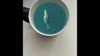 After Effects Dolphin in the coffee