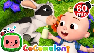 Baby Farm Animals Escape | Animals for Kids | Songs for Kids | CoComelon Nursery Rhymes