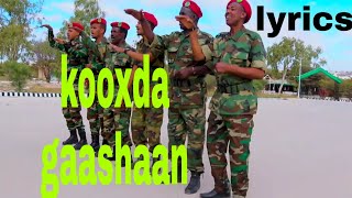 Hees cusub Damal la hadhsadaan ahay by kooxda gaashaan with lyrics