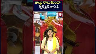 జుట్టు రాలుతోందా.. స్నేక్ వైన్ తాగండి.. | RTV Entertainment