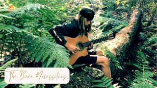 Bare Necessities -- The Jungle Book -- On Guitar!