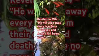 Bible Verse For Today : Revelation 21:4 - “…And Death Shall Be No More”#bibleverse