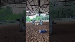 Bareback riding mishaps 😂🤦🏼‍♀️￼ #equestrian #funny #subscribe