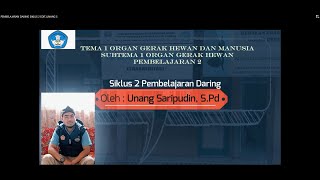 PEMBELAJARAN DARING SIKLUS 2 UNANG SARIPUDIN, S.Pd