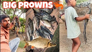 big prowns and bahot sari machali pakadali 🦐🦞🐳 #viral #fishing #shorts @MrBeast @Fishdomworld