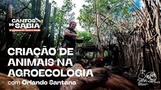 Criação de Animais na Agroecologia | Cantos do Sabiá