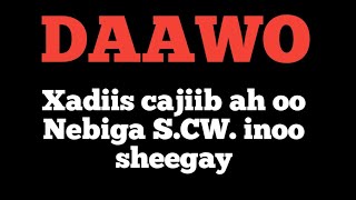 Xadiis cajiib ah oo Nebiga S.CW. inoo sheegay