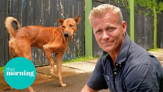 Saving Street Dogs: Dr Scott’s Journey Through Sri Lanka | This Morning