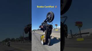 Harley wheelie #wheelies #motorcycle #howto #motorcyclestunts #harleydavidson