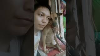 bonding with chingky the motherdog #youtubeshorts #dog #doglover