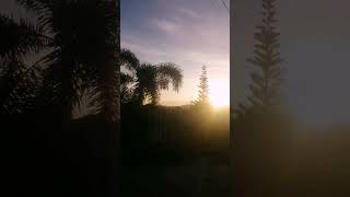 beautiful sunrise ❤️ #sunrise #short #shortvideo