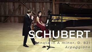 Schubert: Sonata in A minor, D. 821 "Arpeggione"