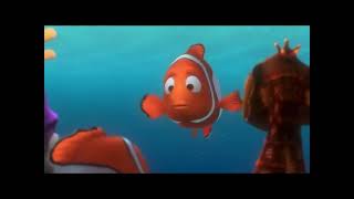 Finding Nemo: Nemo Swimming Out to Open Water