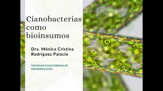 Cianobacterias como Bioinsumos y agroecologia