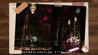 Neuseelandvlog no.17 // The Redwoods: Treewalk & Aussicht auf Rotorua